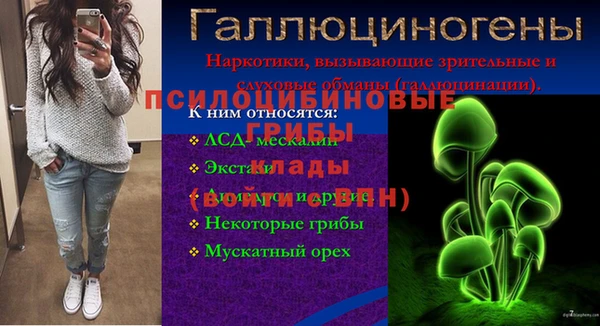 СК Богородск