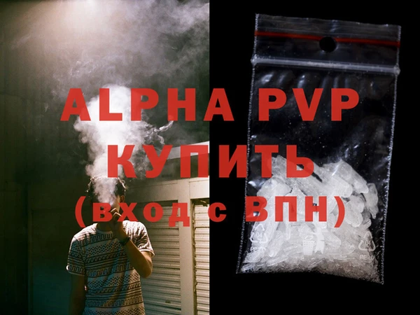 дживик Белокуриха