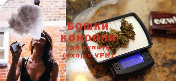 дживик Белокуриха