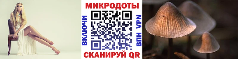 площадка Telegram  Кировск  Галлюциногенные грибы Magic Shrooms 